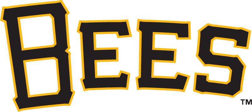 Salt Lake Bees 2006-pres wordmark logo iron on transfers for clothing